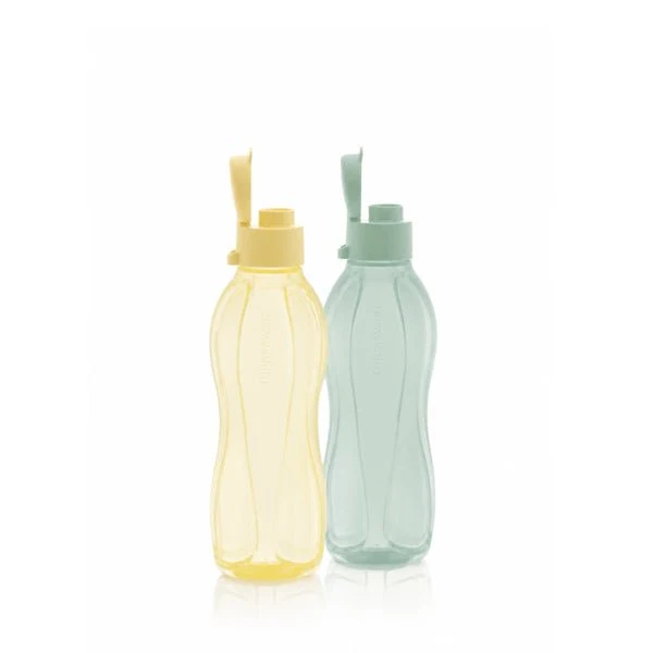 Eco Bouteille 500 ml x 2