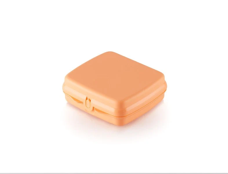 Eco Boîte sandwich