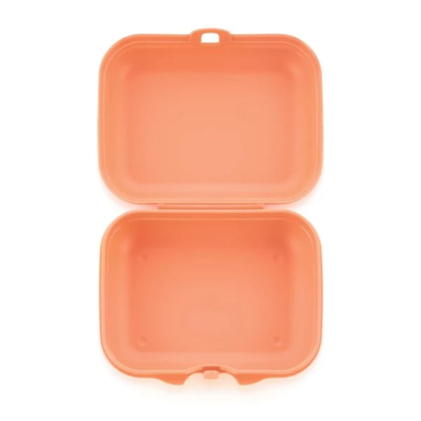 Boîte à bêtises petite (rose orangée)