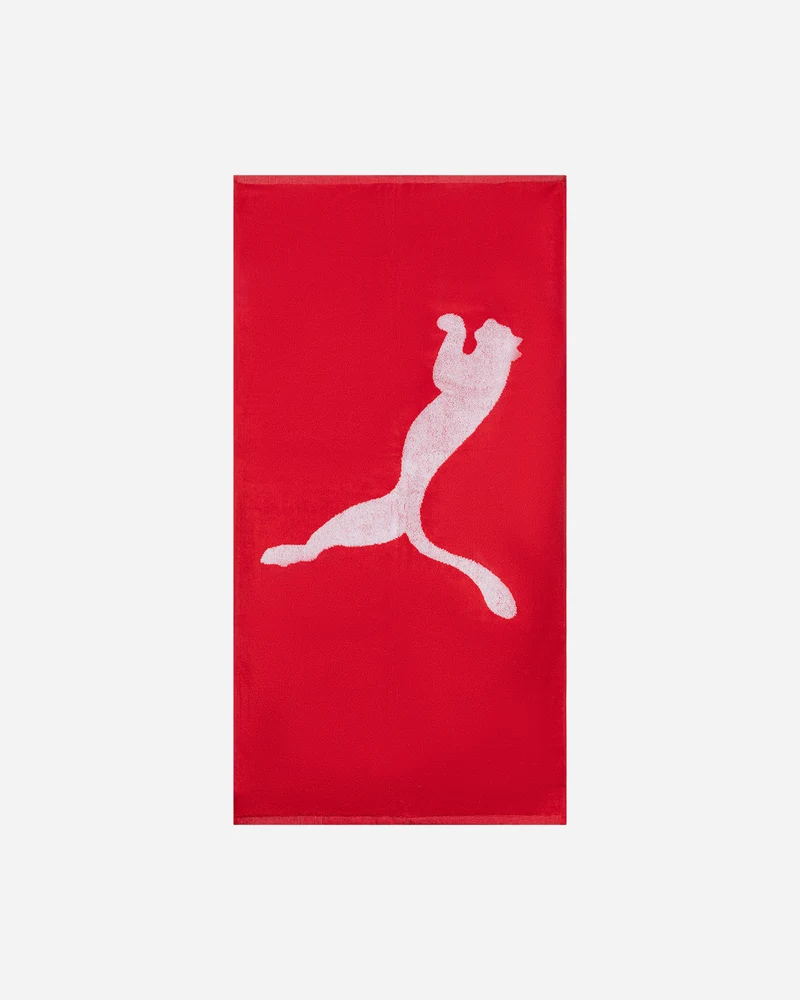 ACCESSORIO TENNIS PUMA TEAM