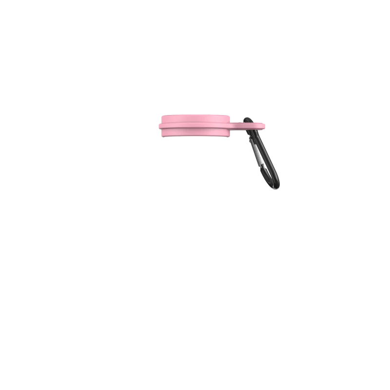 Pastel Pink Carabiner Carry Clip