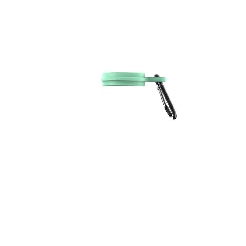 Neo Mint Carabiner Carry Clip