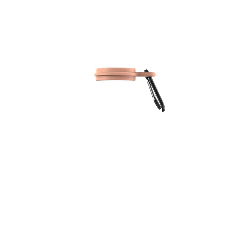 Peach Sunrise Carabiner Carry Clip