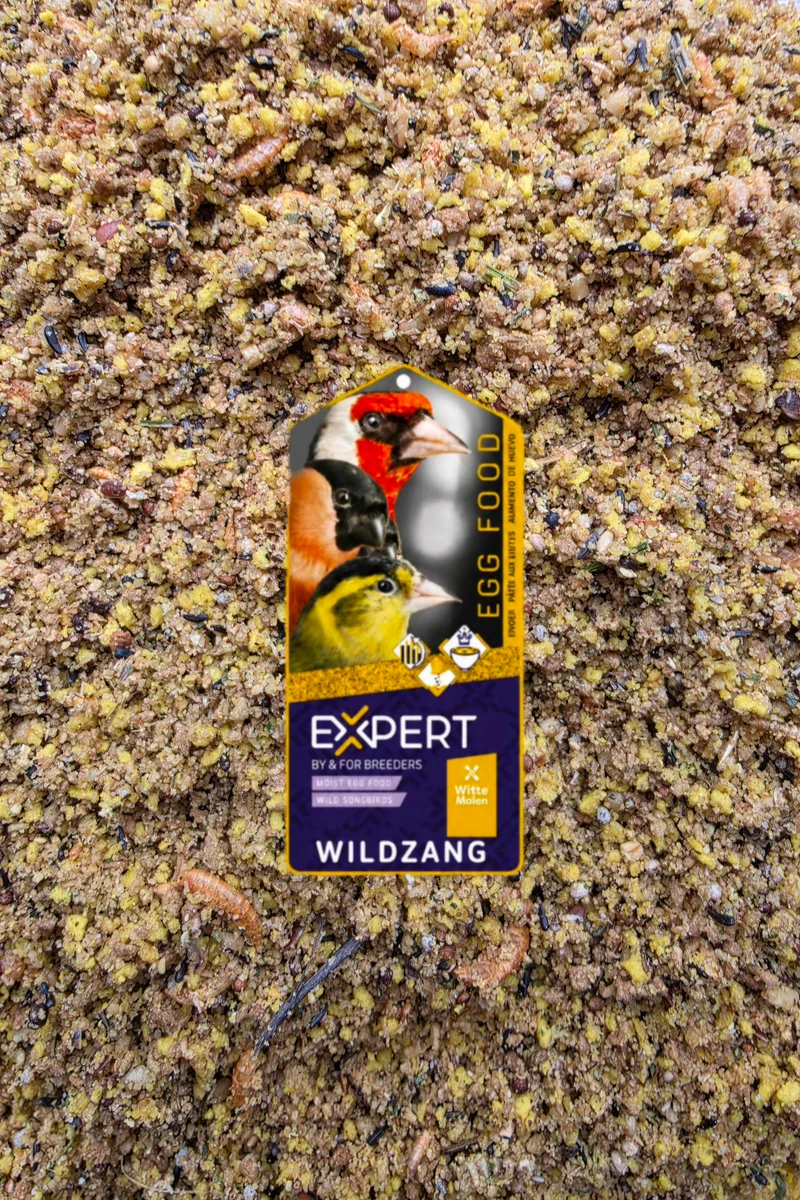 Mangime all'uovo EXPERT per uccelli canori selvatici - 1 kg - 15.6% Proteine, Insetti, Gammarus - Witte Molen