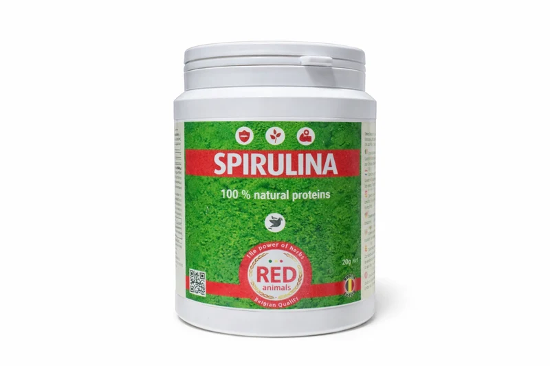 Spirulina (fonte di proteine, alghe) 300 grammi - Red Animals