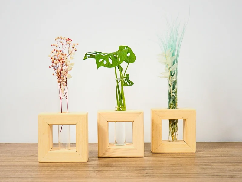 Vaso Propagatore Frame