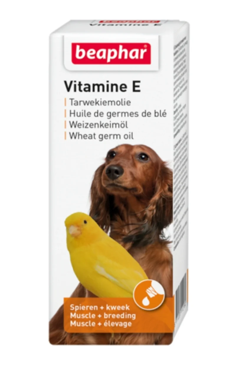 Olio di Germe di Grano (Vitamina E) 30ml