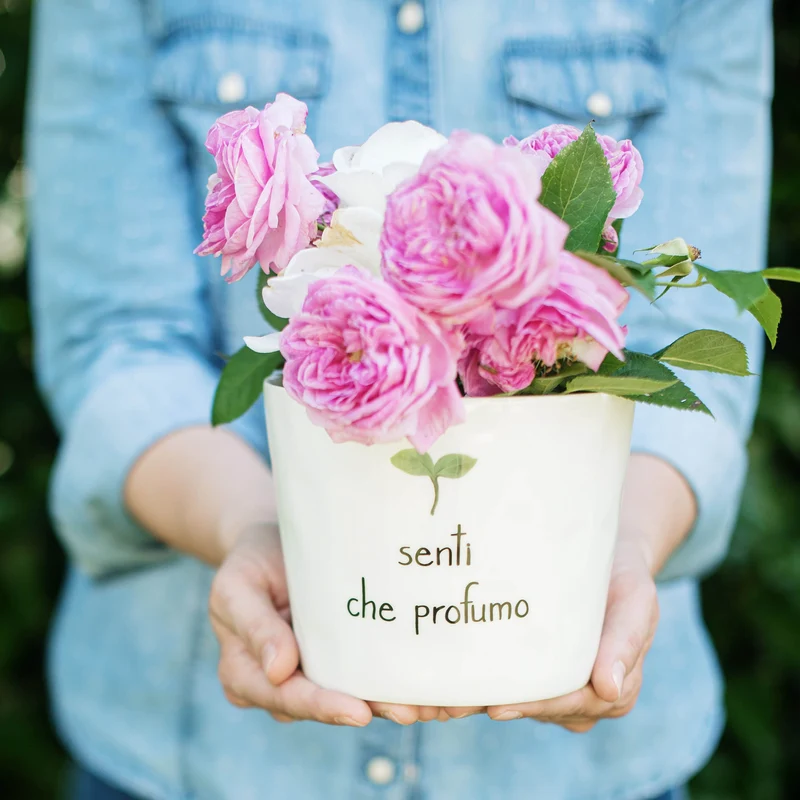 Vaso Senti che profumo, con sottovaso