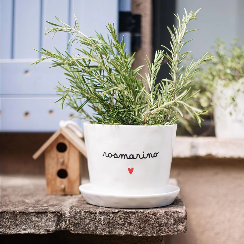 Vaso Rosmarino Cuore, con sottovaso