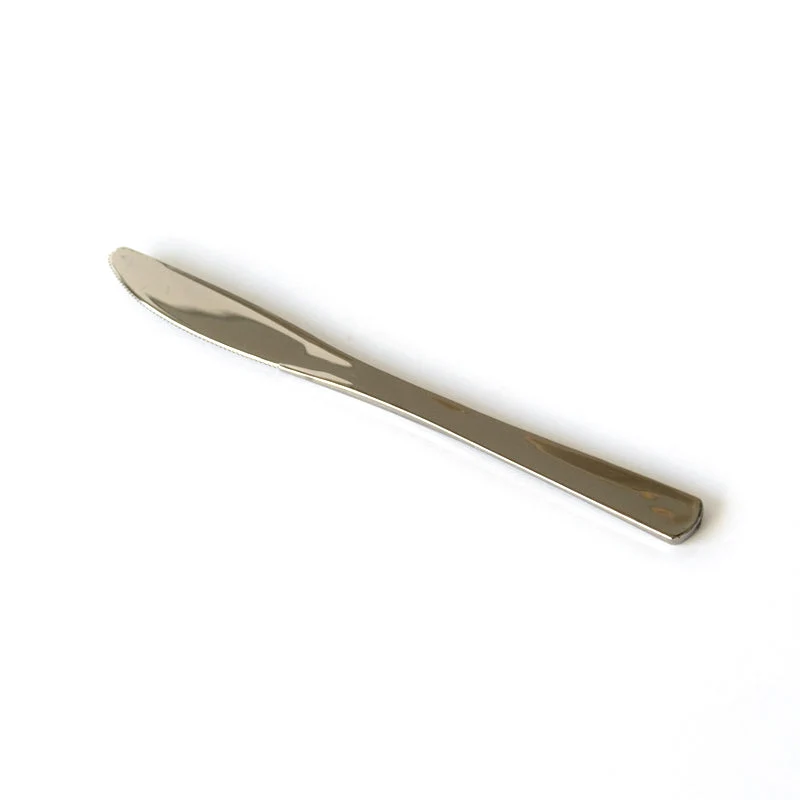 Coltelli in Plastica Argento - 10 pezzi