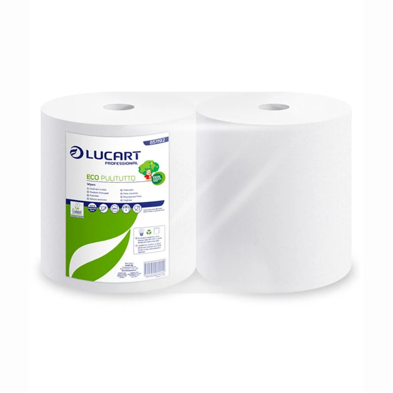 Asciugatutto Eco Pulitutto Lucart 800 Strappi 2 Veli - 2 rotoli