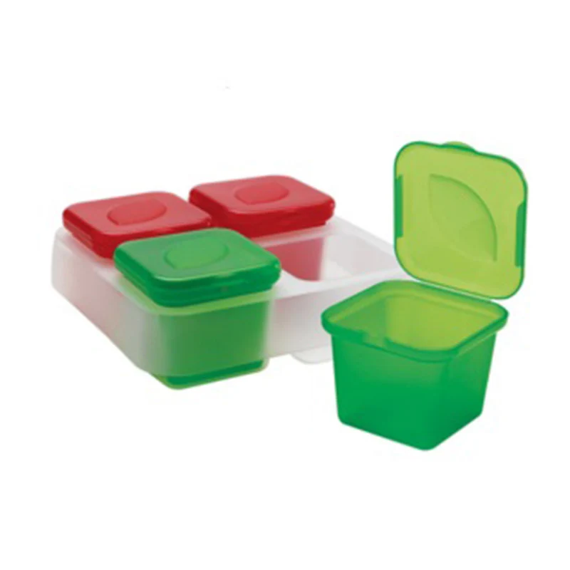 Scatola Congelaromi 4pz 100ml Snips