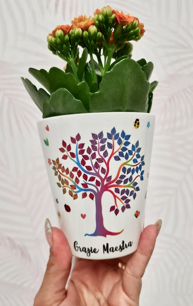 Vaso per Maestra in ceramica Personalizzato