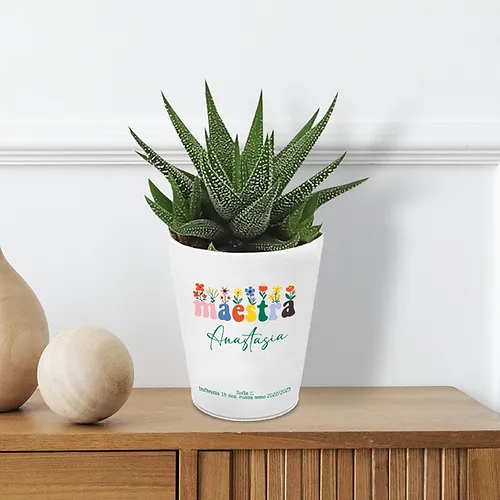 Vaso per Maestra in ceramica Personalizzato