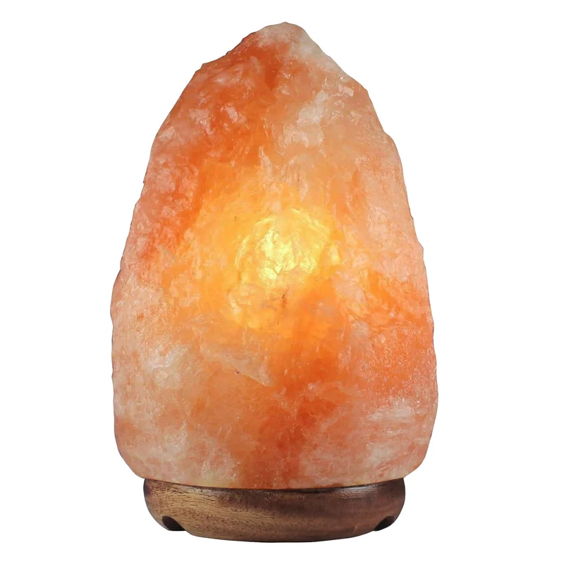 Lampada Di Sale Himalayano Originale Naturale Realizzata A Mano Spina Europea Il Gruppone