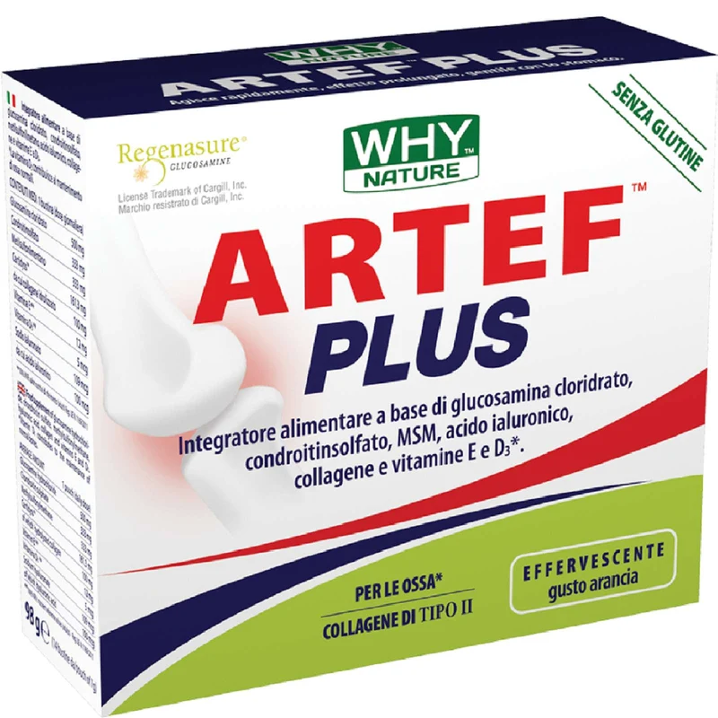 WHY NATURE ARTEF PLUS 12 BUSTINE